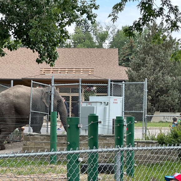 Meet the Posher Other - Meet your Posher, Rosaline